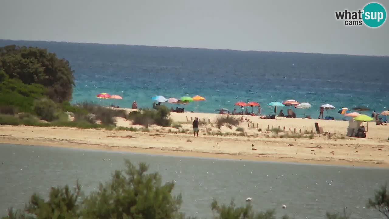 Webcam Chia – Liveblick auf den Strand Su Giudeu