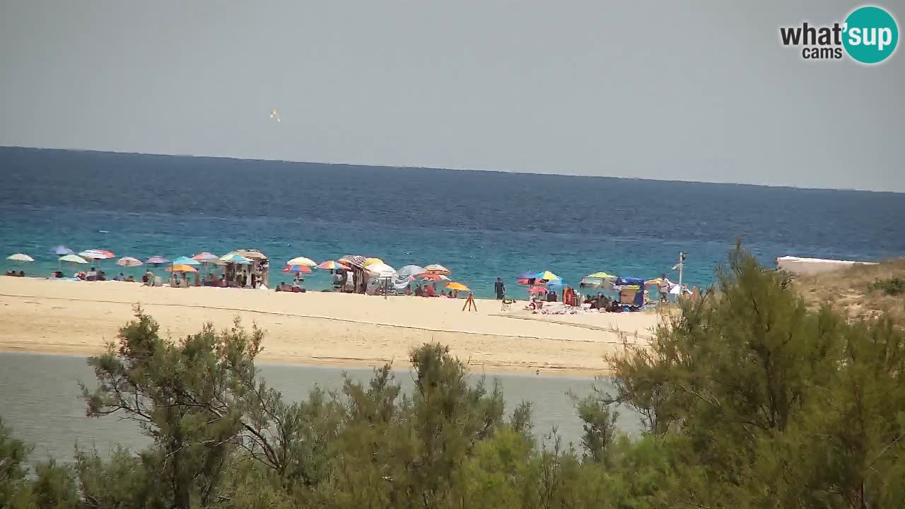 Webcam Chia – Live View of Su Giudeu Beach