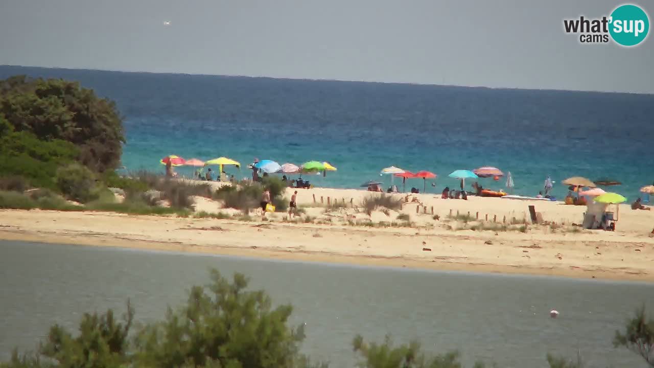 Web kamera Chia – Pogled uživo na plažu Su Giudeu