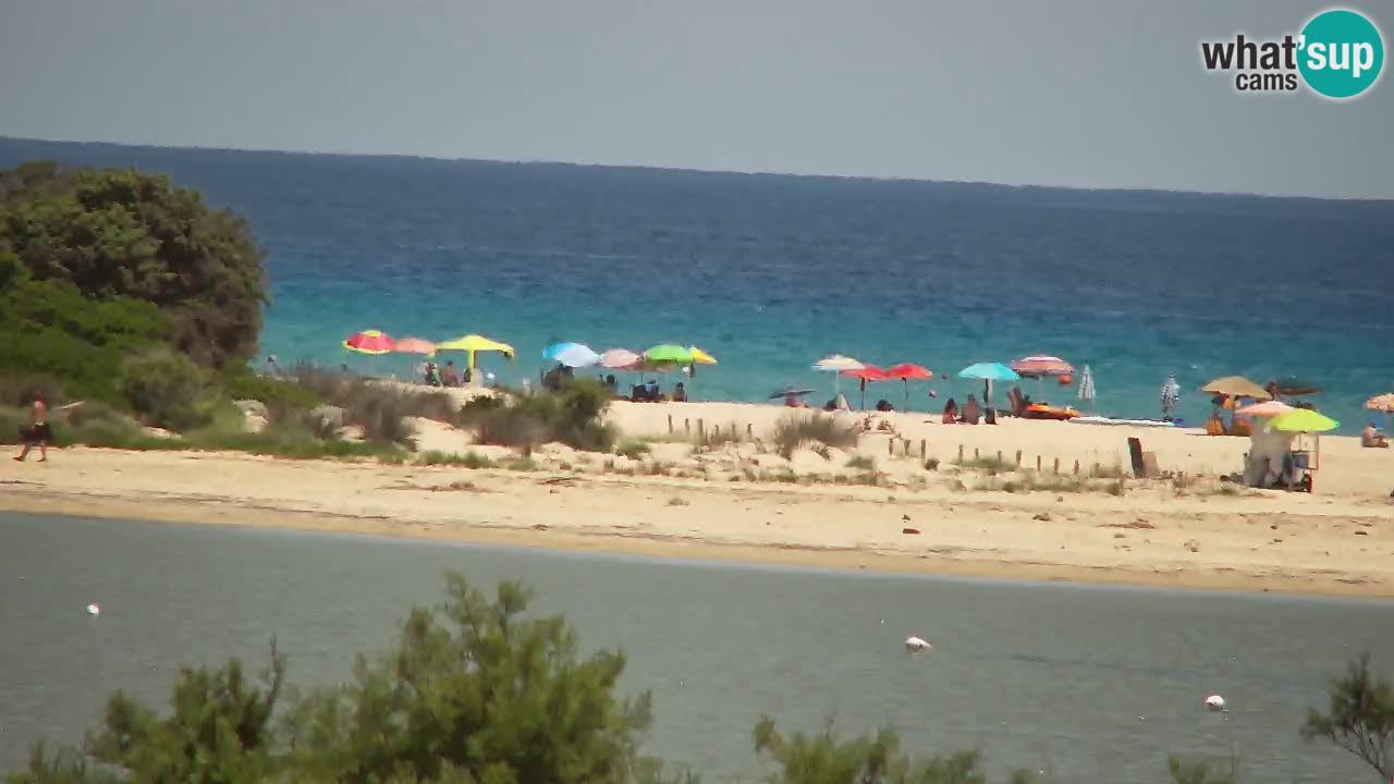 Webcam Chia – Vue en direct de la plage Su Giudeu