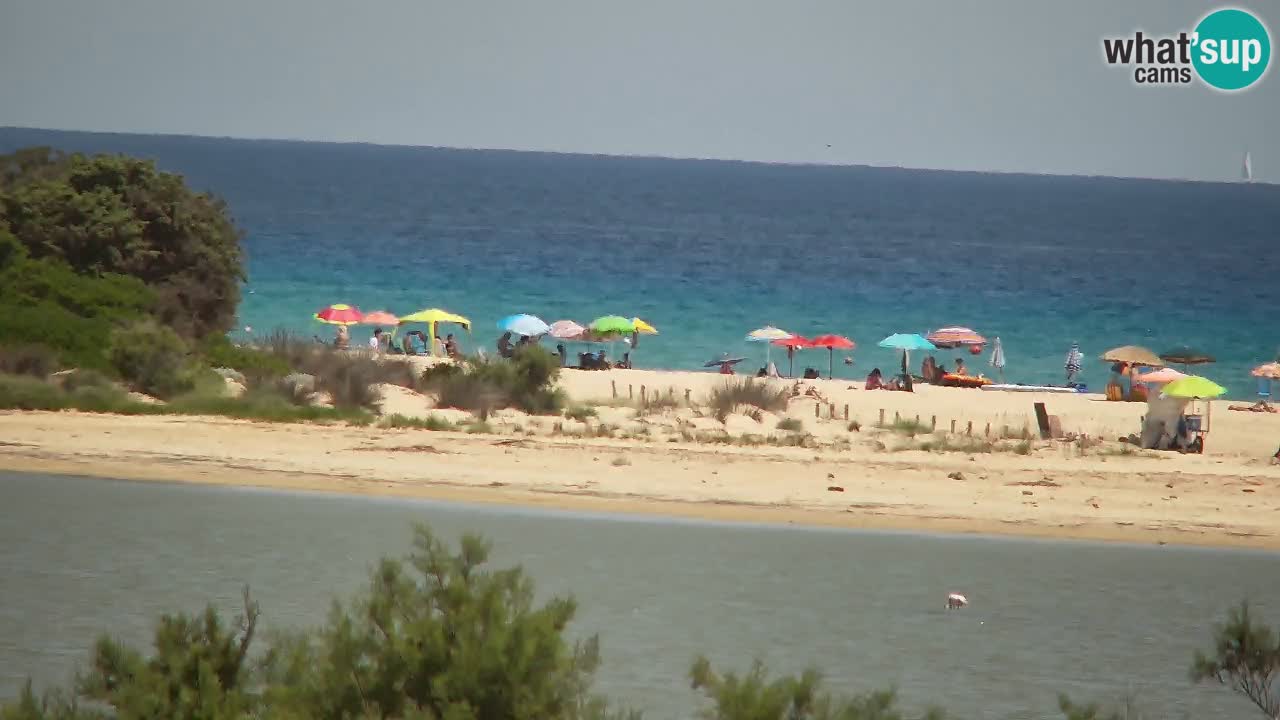 Spletna kamera Chia – Pogled v živo na plažo Su Giudeu