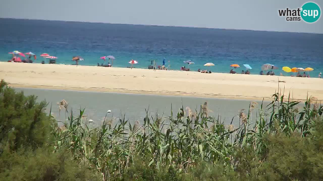 Webcam Chia – Live View of Su Giudeu Beach