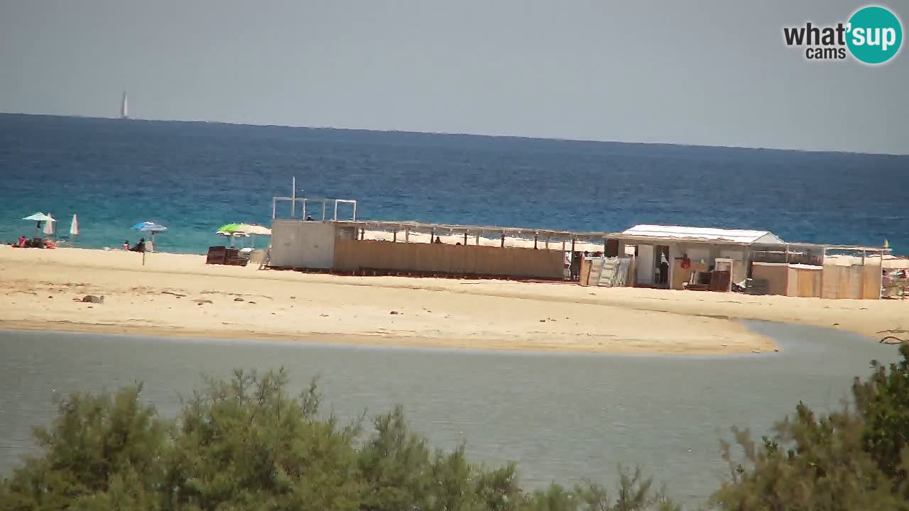 Webcam Chia – Live View of Su Giudeu Beach