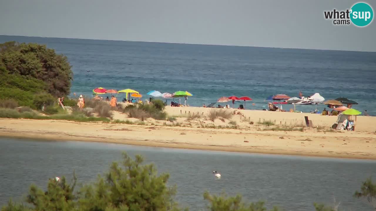 Spletna kamera Chia – Pogled v živo na plažo Su Giudeu