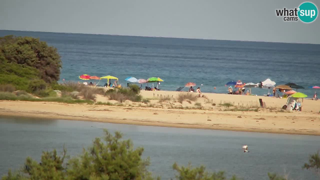 Webcam Chia – Spiaggia Su Giudeu in diretta