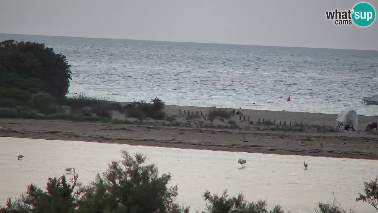 Spletna kamera Chia – Pogled v živo na plažo Su Giudeu