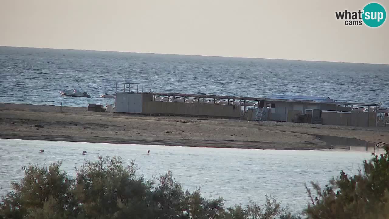 Webcam Chia – Vista en directo de la playa Su Giudeu