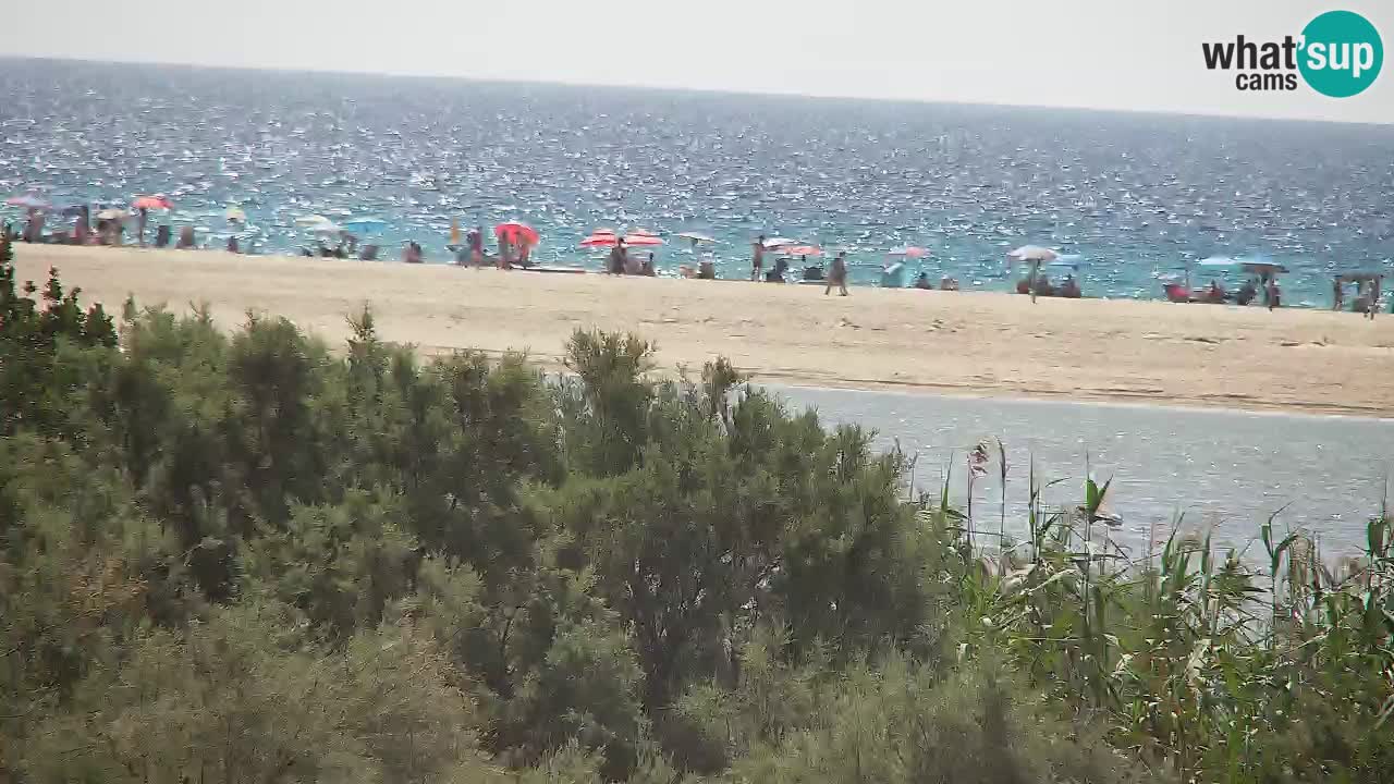 Webcam Chia – Live View of Su Giudeu Beach