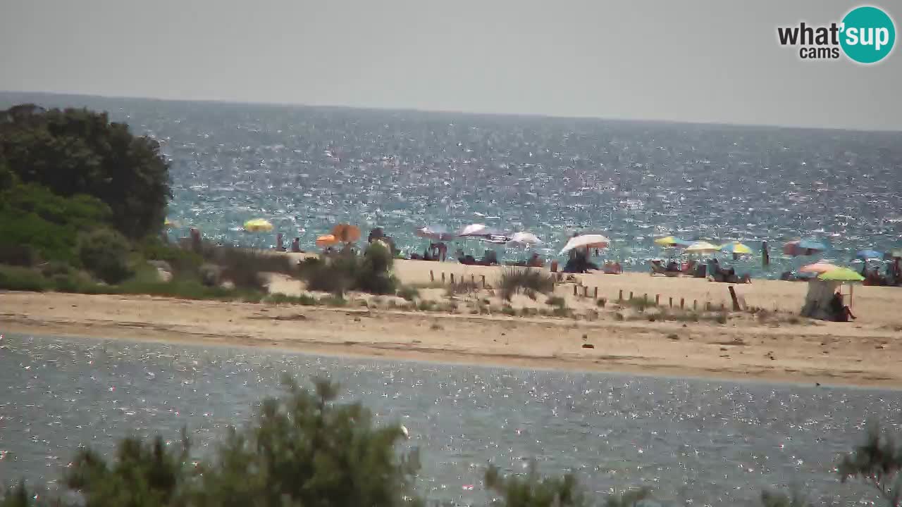 Webcam Chia – Vue en direct de la plage Su Giudeu