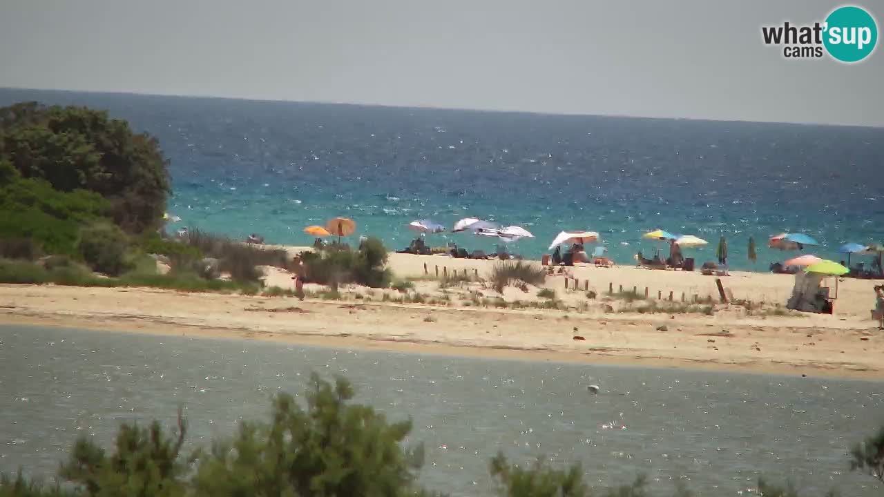 Webcam Chia – Live View of Su Giudeu Beach