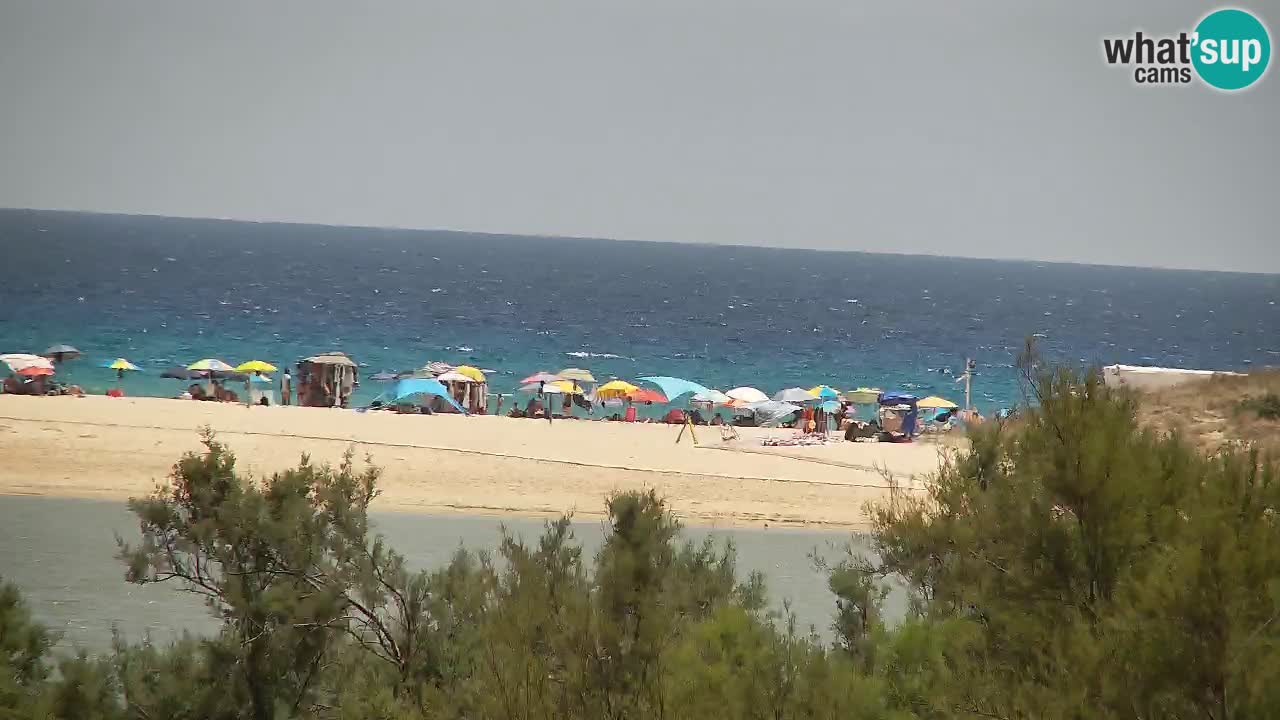 Webcam Chia – Live View of Su Giudeu Beach