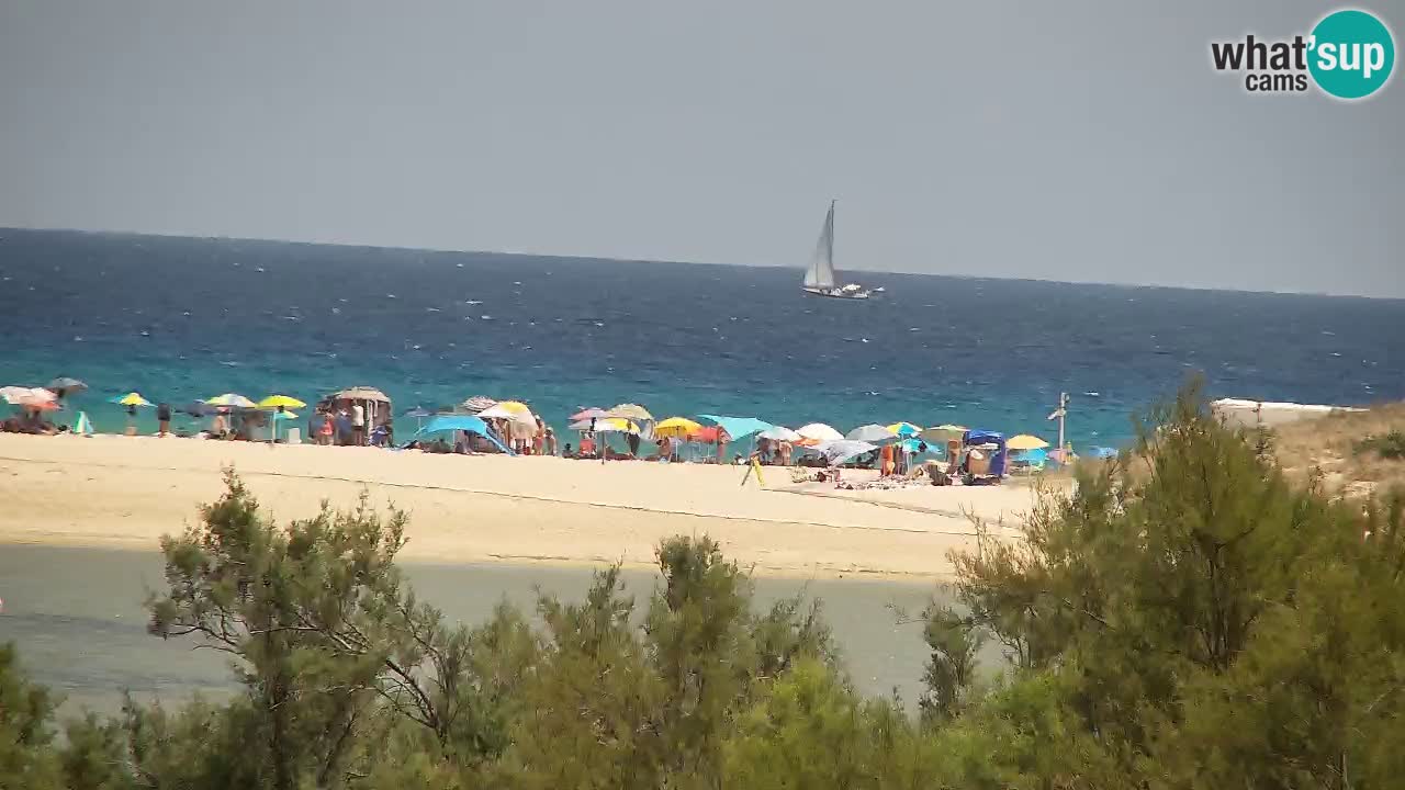 Webcam Chia – Live View of Su Giudeu Beach