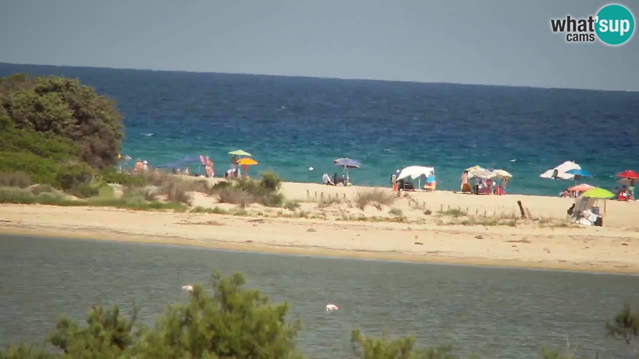 Webcam Chia – Live View of Su Giudeu Beach