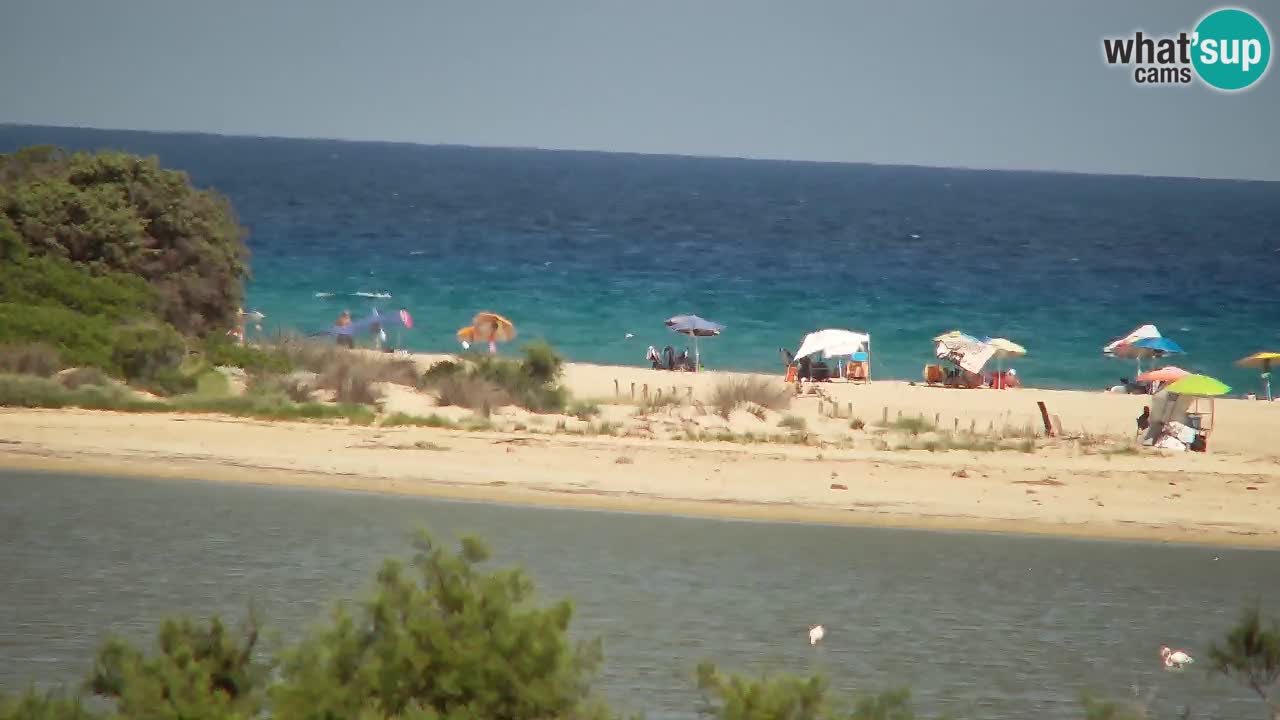 Webcam Chia – Spiaggia Su Giudeu in diretta