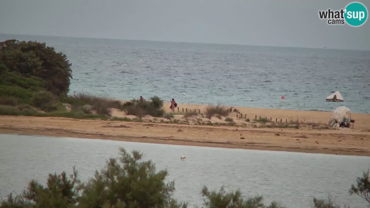 Webcam Chia – Vue en direct de la plage Su Giudeu