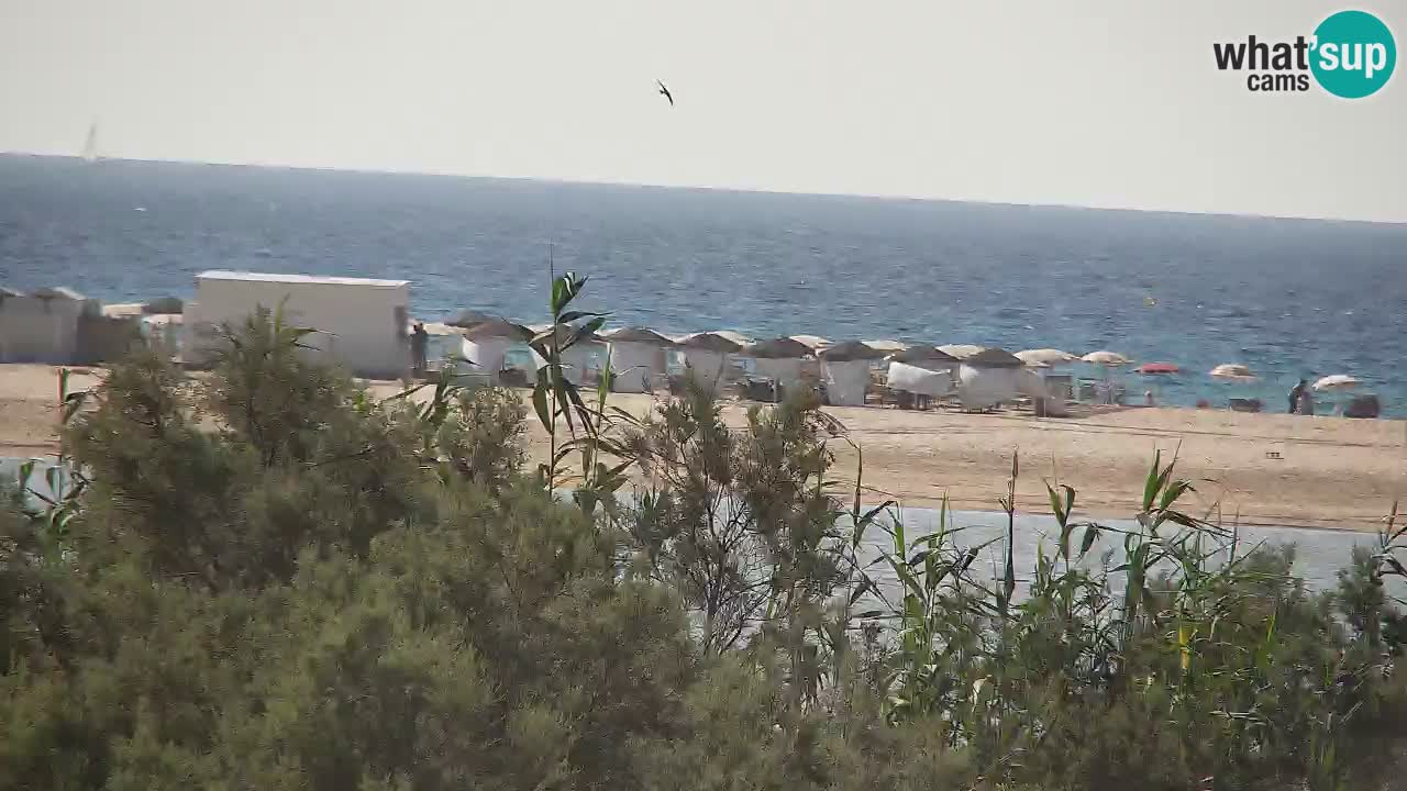 Webcam Chia – Live View of Su Giudeu Beach