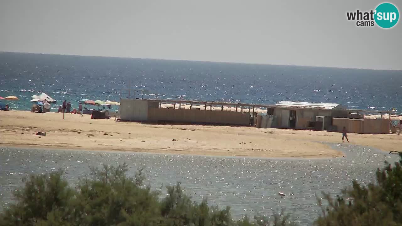 Webcam Chia – Live View of Su Giudeu Beach
