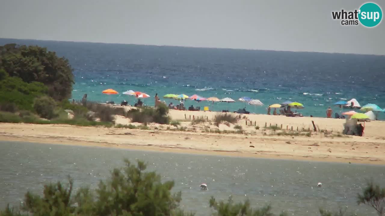 Webcam Chia – Liveblick auf den Strand Su Giudeu