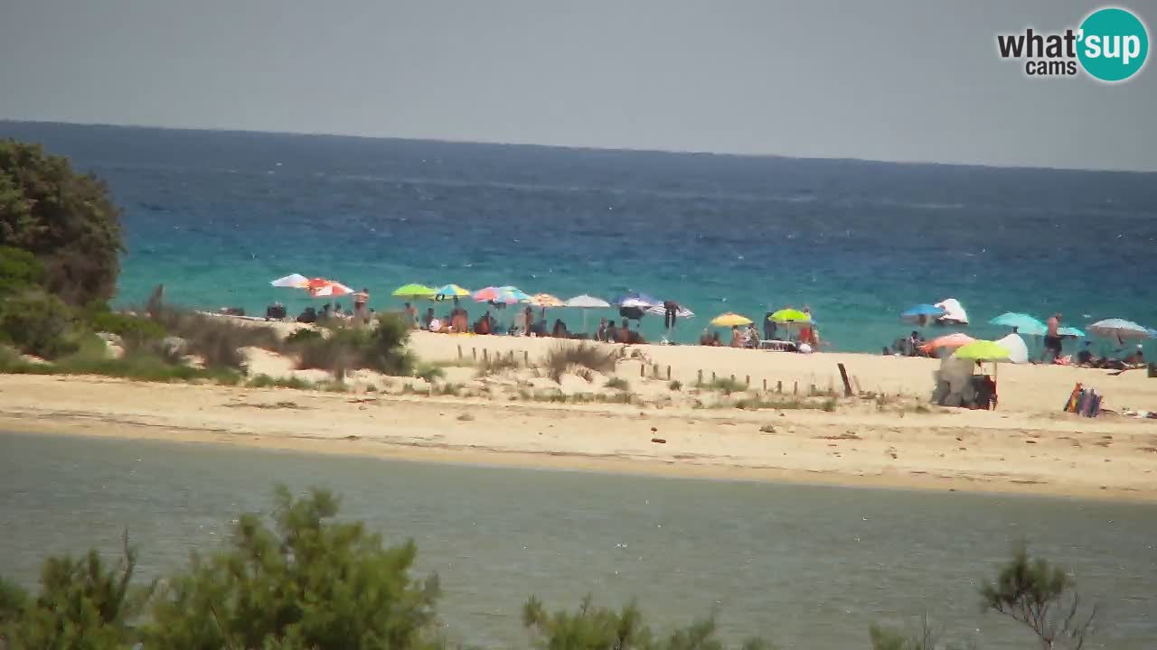 Webcam Chia – Vue en direct de la plage Su Giudeu