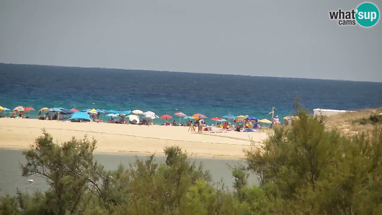 Webcam Chia – Live View of Su Giudeu Beach