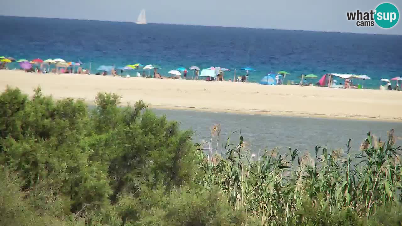Webcam Chia – Live View of Su Giudeu Beach