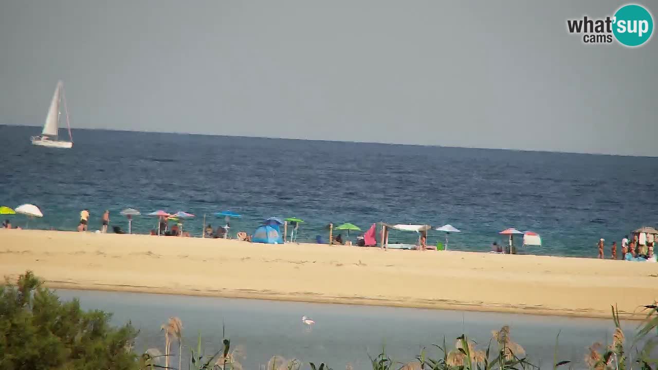Webcam Chia – Vista en directo de la playa Su Giudeu
