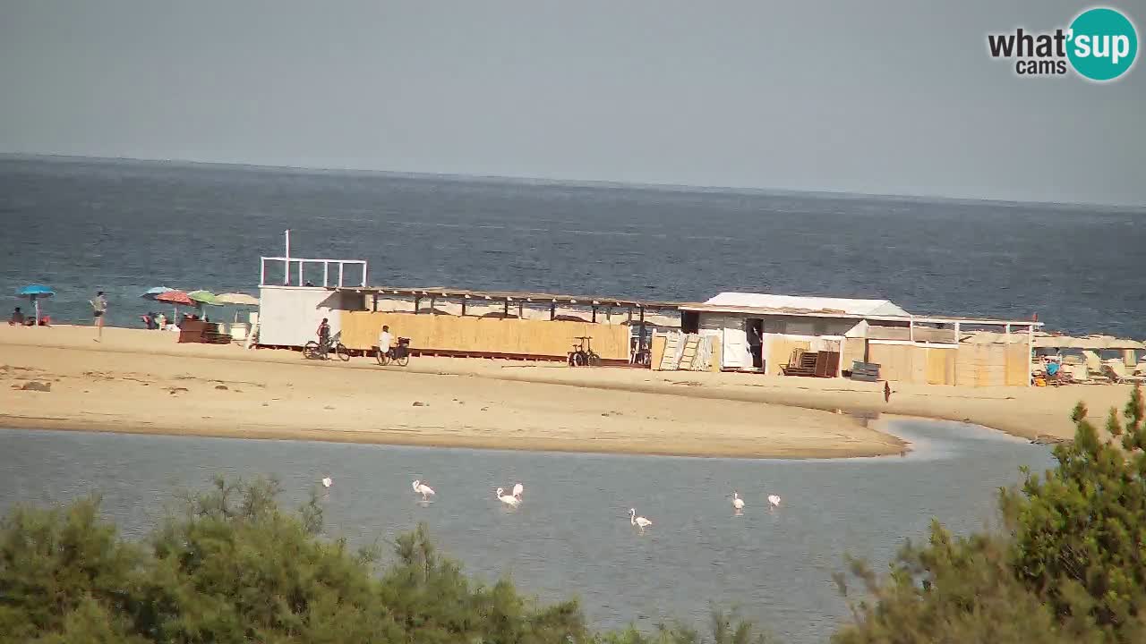 Webcam Chia – Spiaggia Su Giudeu in diretta