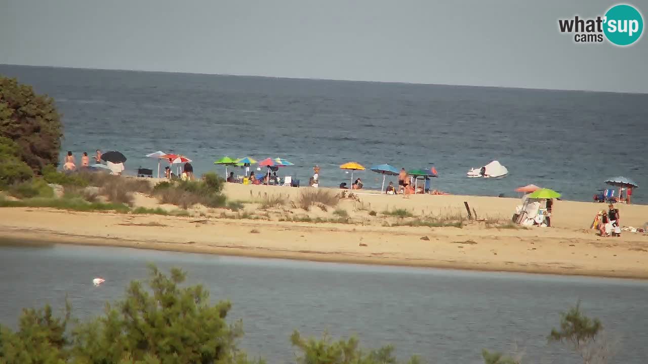 Webcam Chia – Live View of Su Giudeu Beach