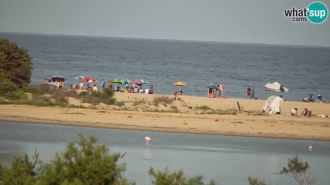 Spletna kamera Chia – Pogled v živo na plažo Su Giudeu