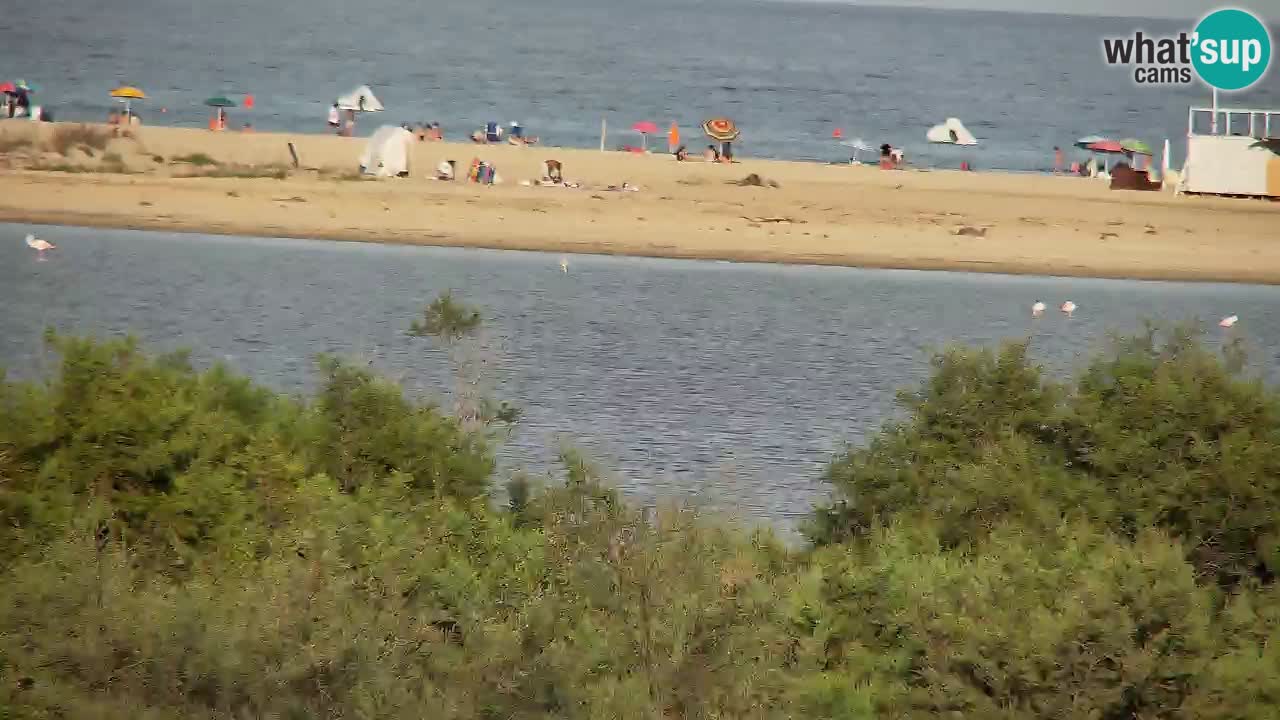 Webcam Chia – Live View of Su Giudeu Beach