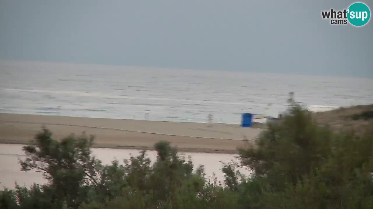 Webcam Chia – Live View of Su Giudeu Beach