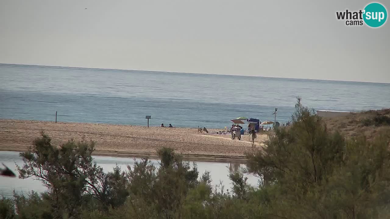 Webcam Chia – Live View of Su Giudeu Beach