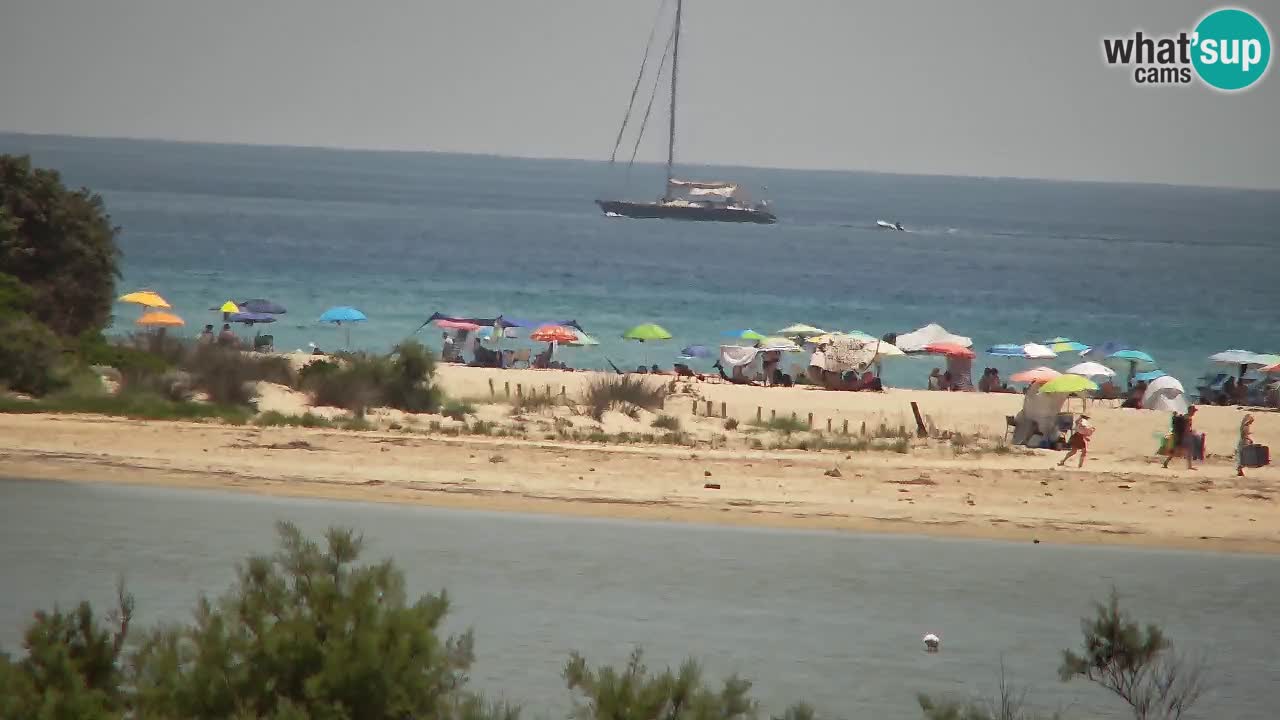 Webcam Chia – Live View of Su Giudeu Beach