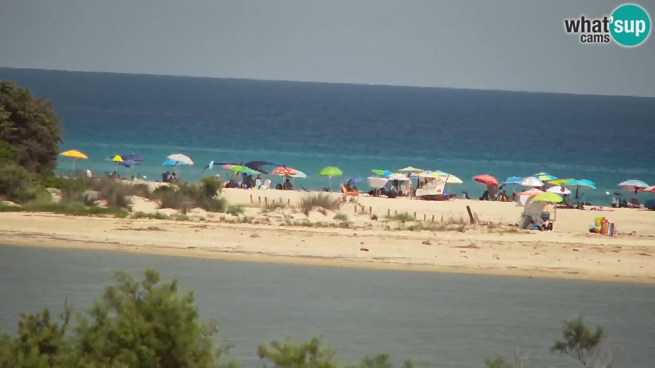 Webcam Chia – Live View of Su Giudeu Beach