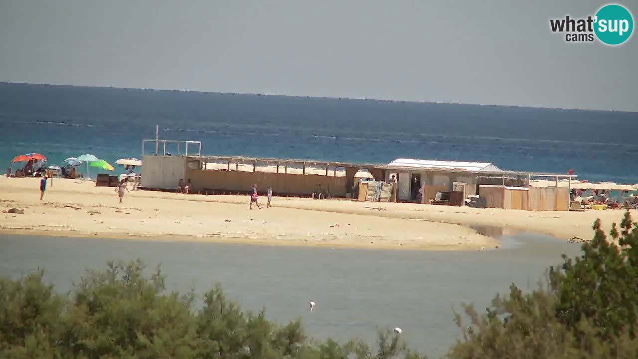 Webcam Chia – Live View of Su Giudeu Beach