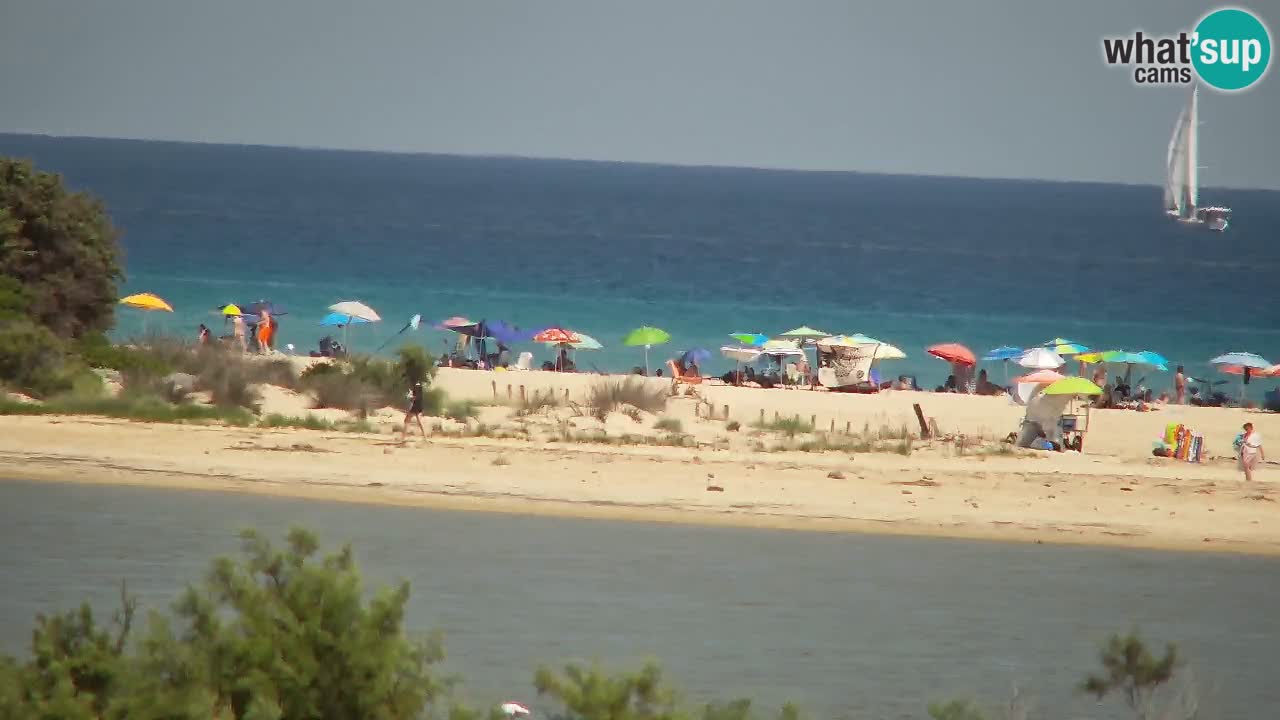 Webcam Chia – Live View of Su Giudeu Beach