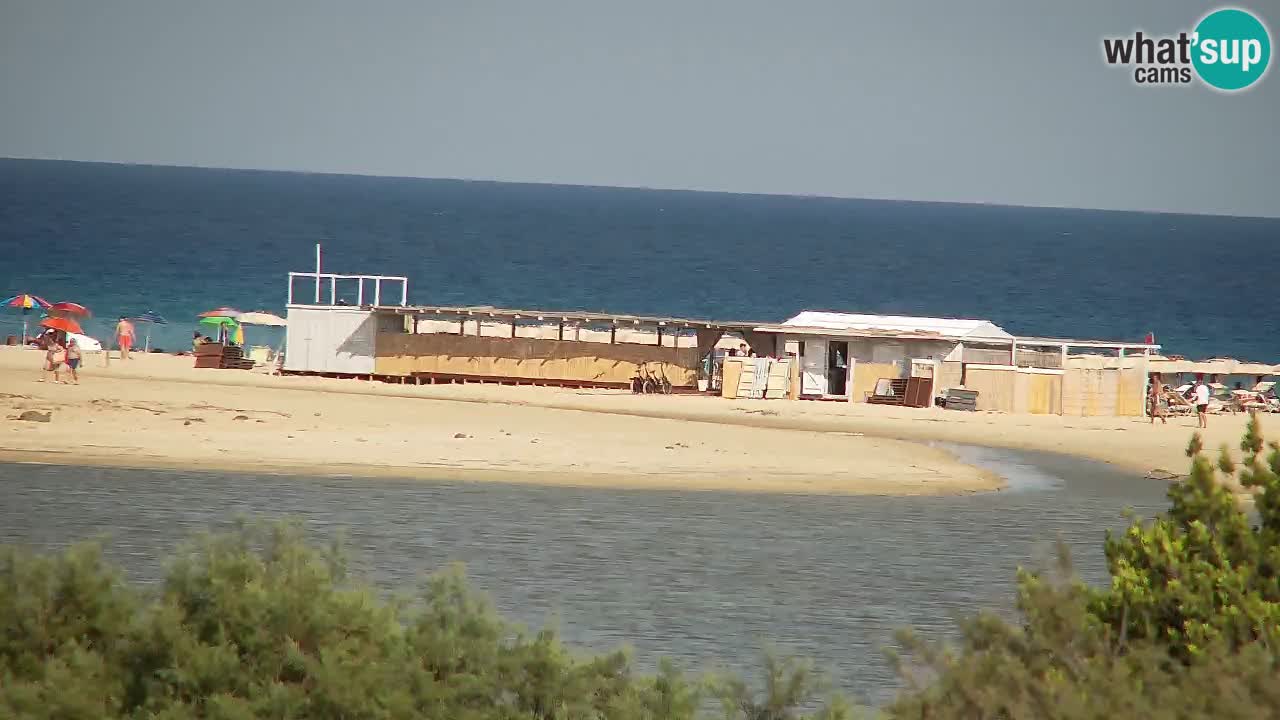 Webcam Chia – Live View of Su Giudeu Beach