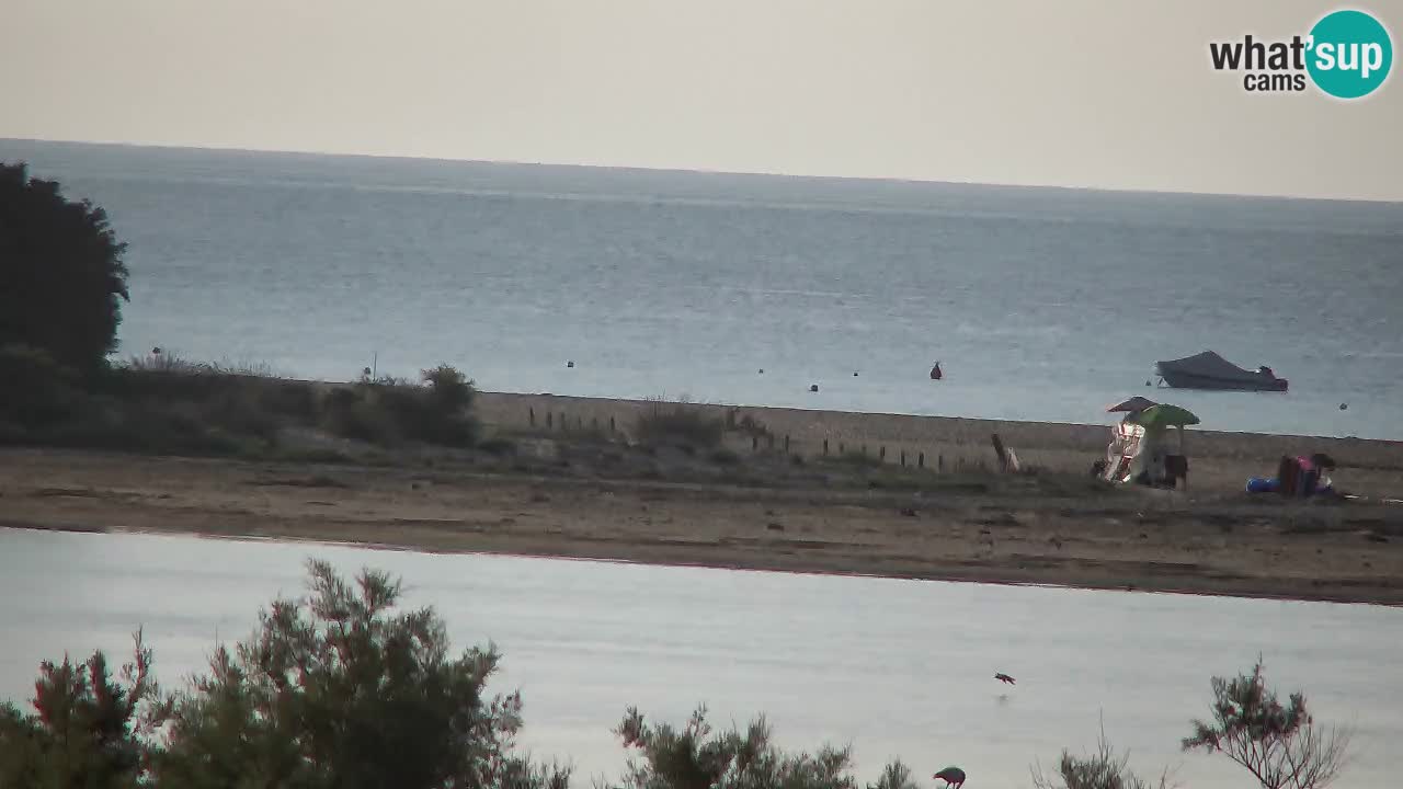 Webcam Chia – Live View of Su Giudeu Beach