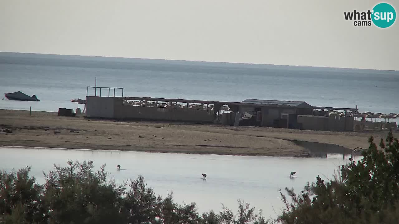 Spletna kamera Chia – Pogled v živo na plažo Su Giudeu