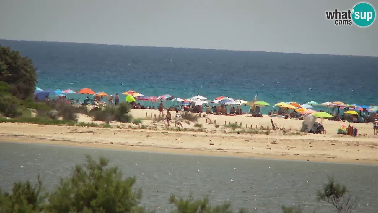 Webcam Chia – Liveblick auf den Strand Su Giudeu