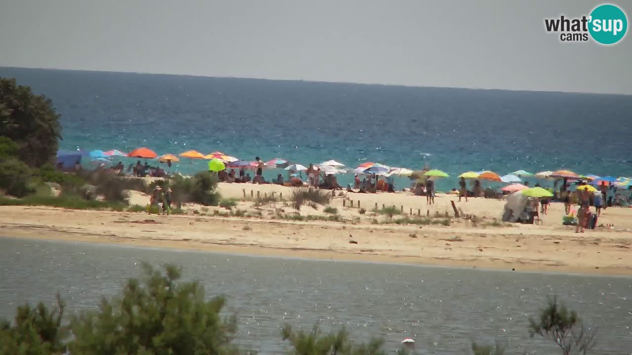 Web kamera Chia – Pogled uživo na plažu Su Giudeu