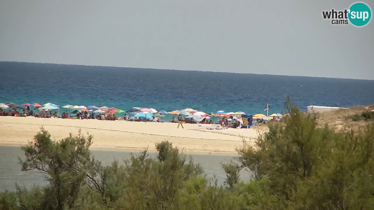 Webcam Chia – Live View of Su Giudeu Beach