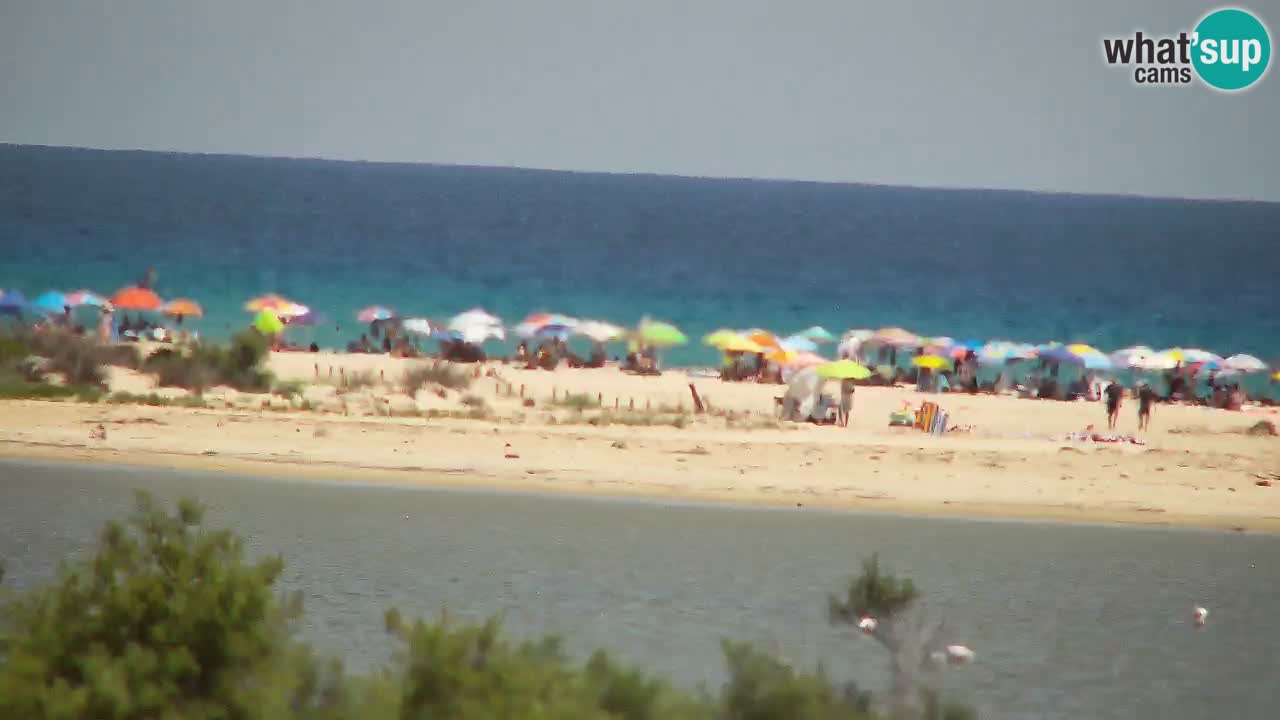 Webcam Chia – Live View of Su Giudeu Beach