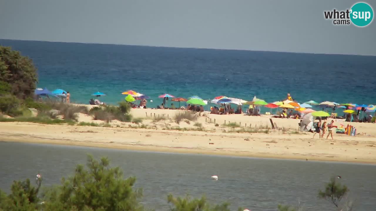 Webcam Chia – Live View of Su Giudeu Beach