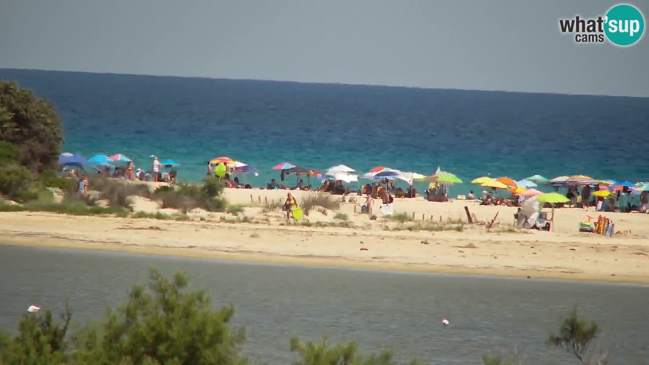 Webcam Chia – Live View of Su Giudeu Beach