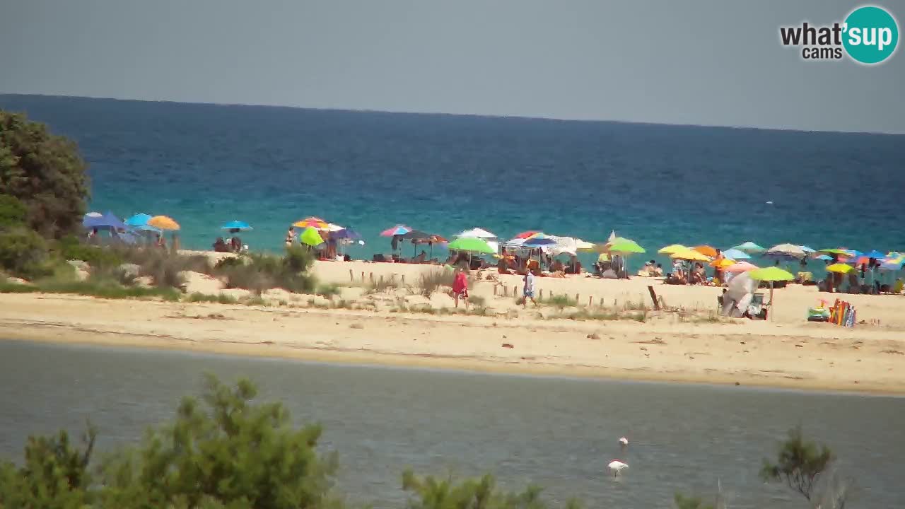 Webcam Chia – Spiaggia Su Giudeu in diretta