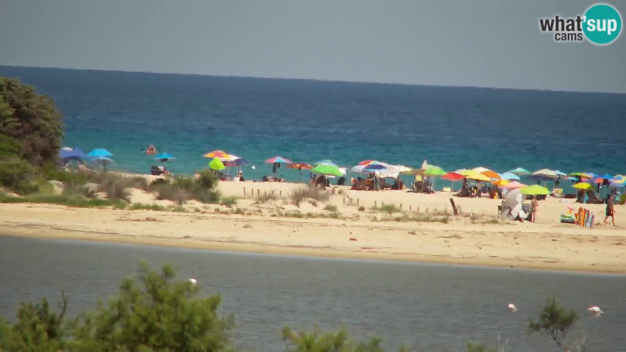 Webcam Chia – Liveblick auf den Strand Su Giudeu