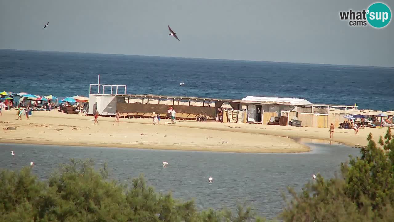 Webcam Chia – Liveblick auf den Strand Su Giudeu