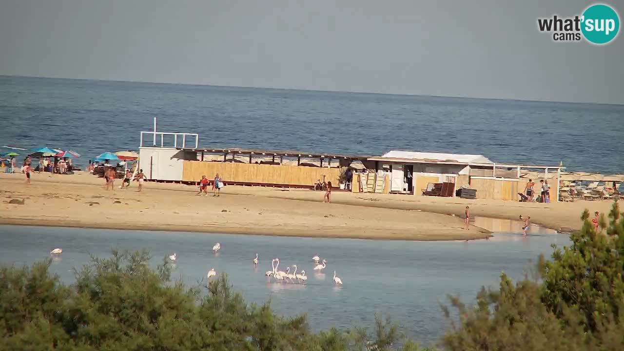 Webcam Chia – Live View of Su Giudeu Beach