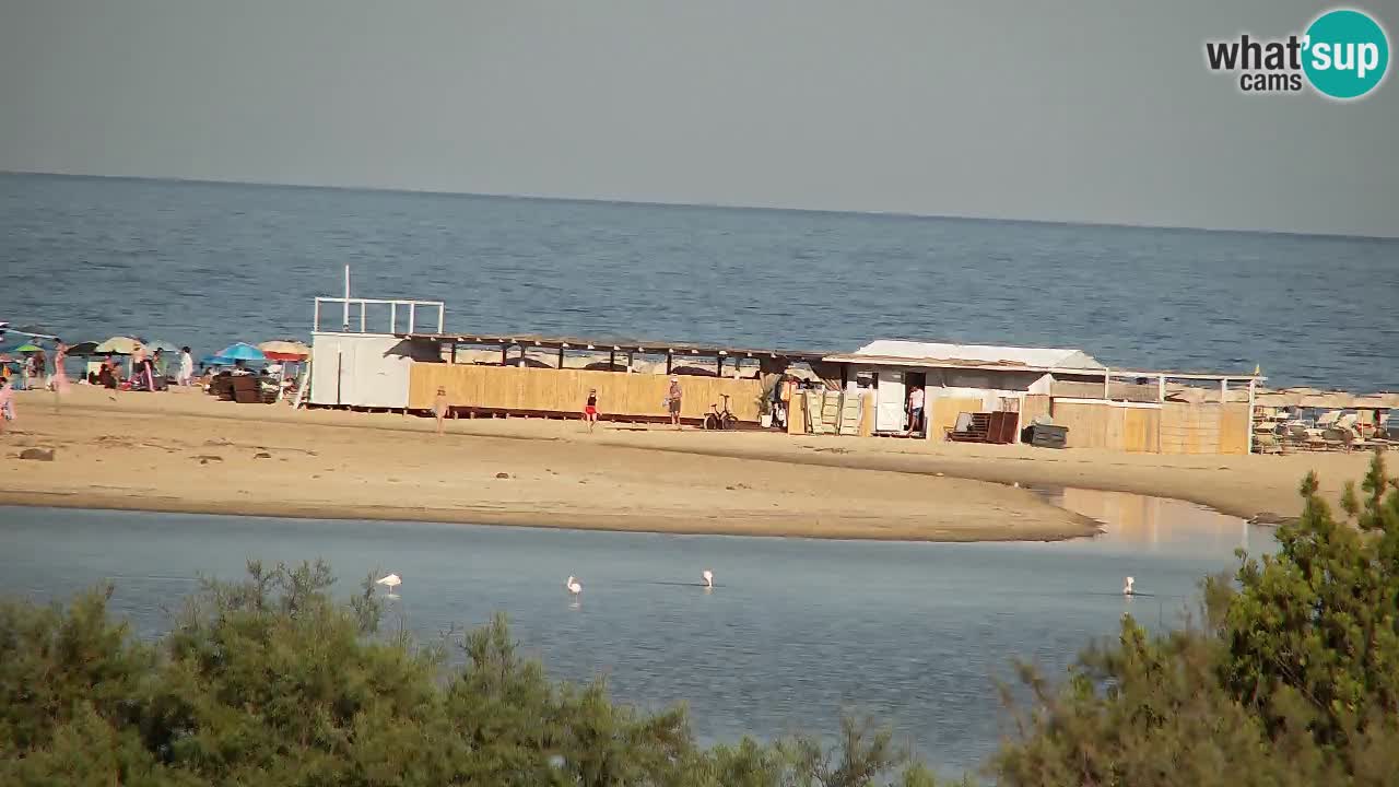 Webcam Chia – Live View of Su Giudeu Beach
